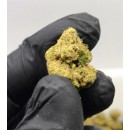 Blueberry Hidro CBD 10 gramos - Hii CBD