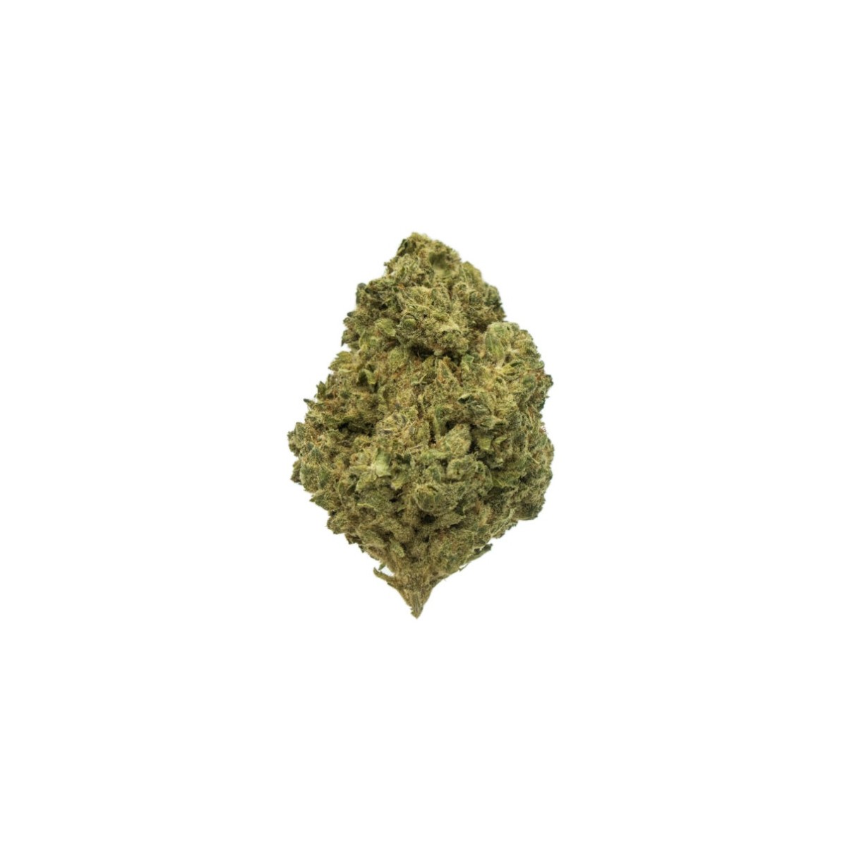 Oreo Cake Hidro CBD 10 gramos - Hii CBD