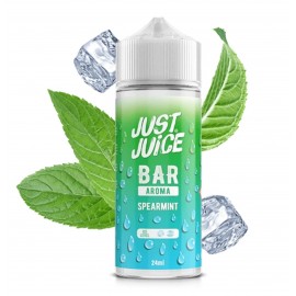 Aroma Spearmint 24ml (Longfill) - Just Juice