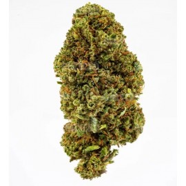 Gelato 33 flores CBD 5G - Only CBD