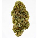 Gelato 33 flores CBD 5G - Only CBD