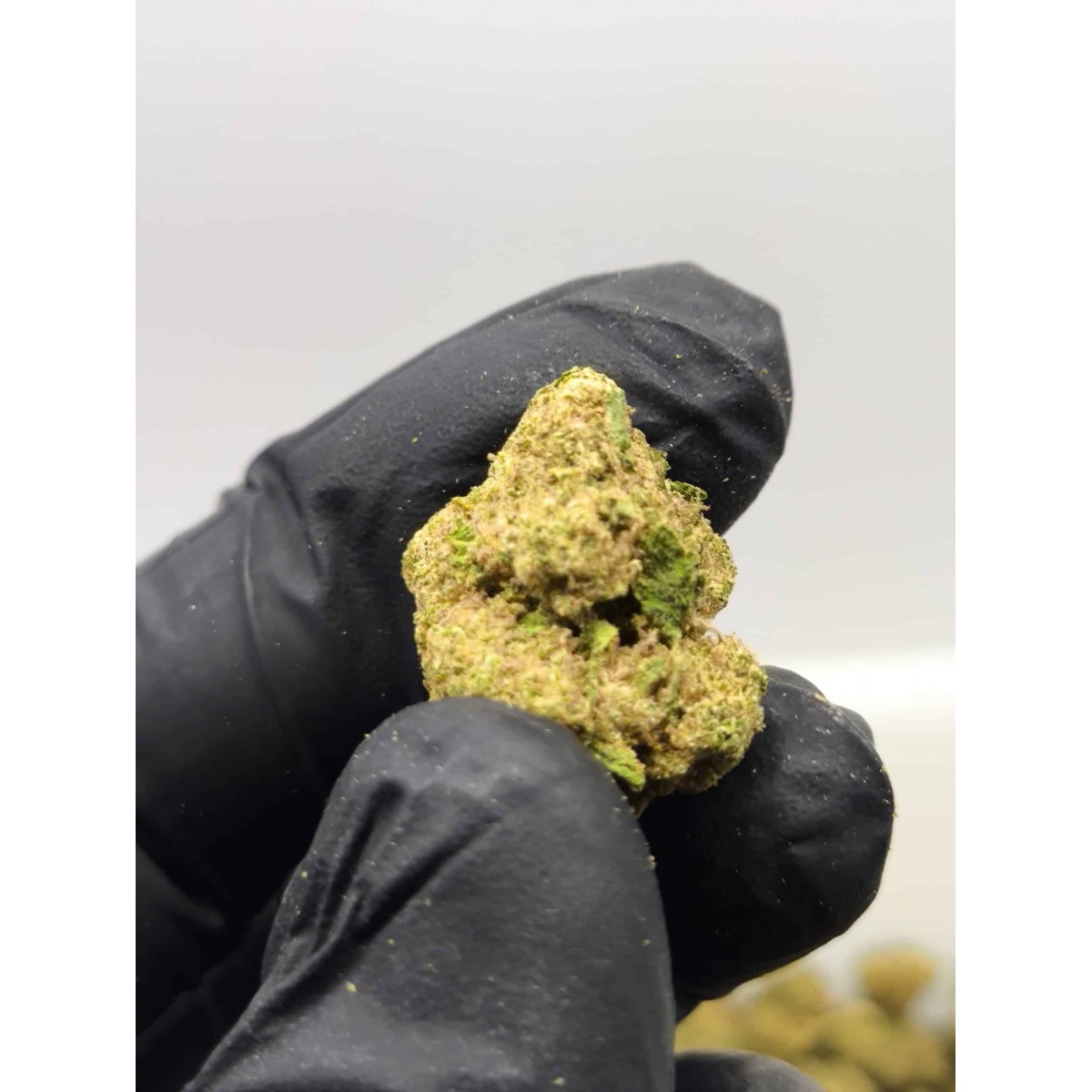 Frosted Hidro CBD 10 gramos - Hii CBD