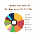 Dahgá Moroccan CBD Pod - Maestro Puff