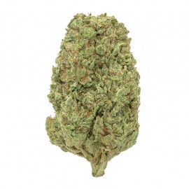 Blueberry Hydro CBD 10 gramos - Hii CBD