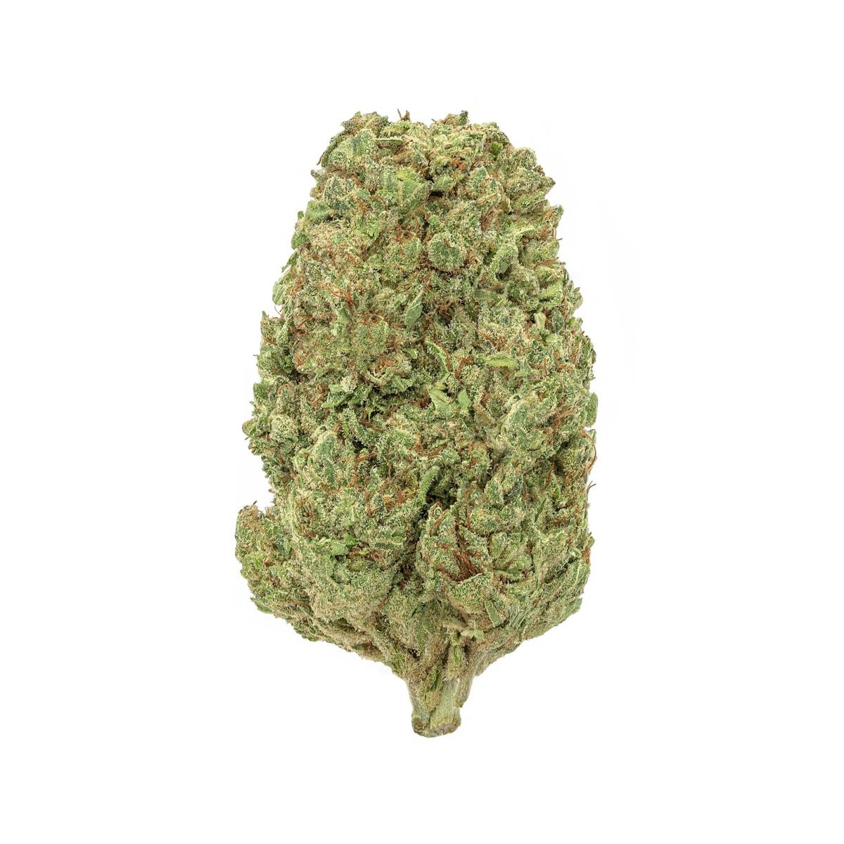 Blueberry Hydro CBD 10 gramos - Hii CBD