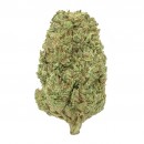 Blueberry Hydro CBD 10 gramos - Hii CBD