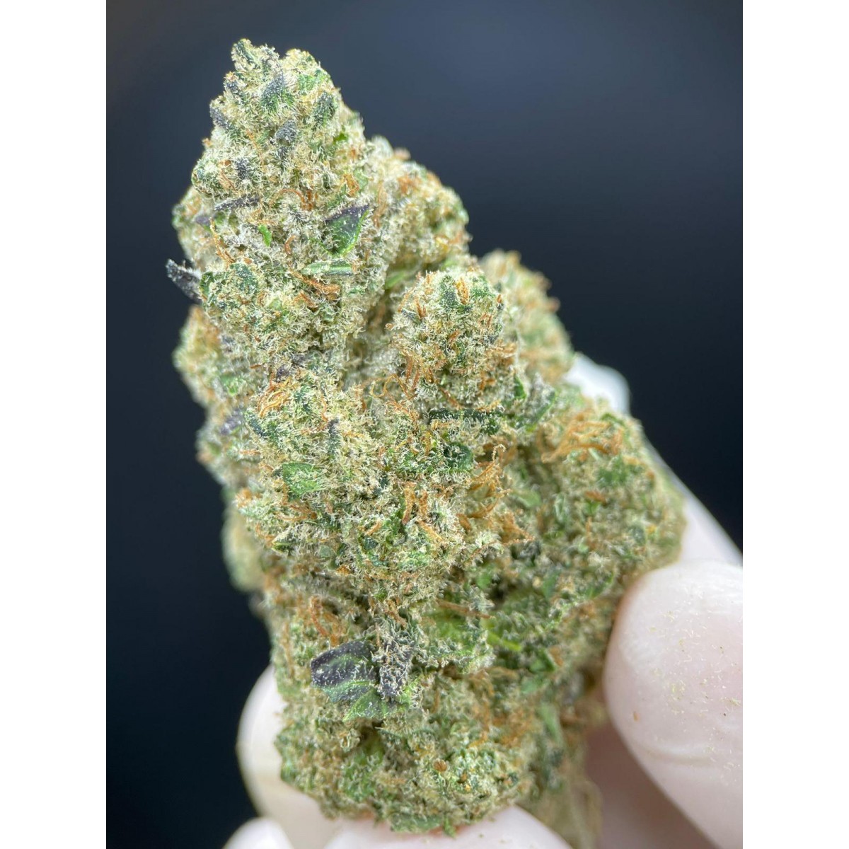 Frosted Hidro CBD 10 gramos - Hii CBD