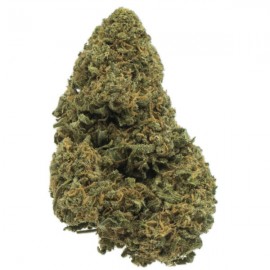 Special Lemon CBD 10 gramos - Hii CBD