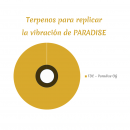 Cartucho 510 Dahgá Paradise CBD - Maestro Puff