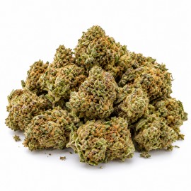 Nother Lights Hidro CBD 10 gramos - Hii CBD