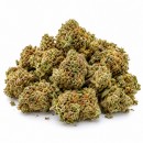 Nother Lights Hidro CBD 10 gramos - Hii CBD