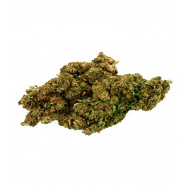 Mango Haze GH CBD 10 gramos - Hii CBD