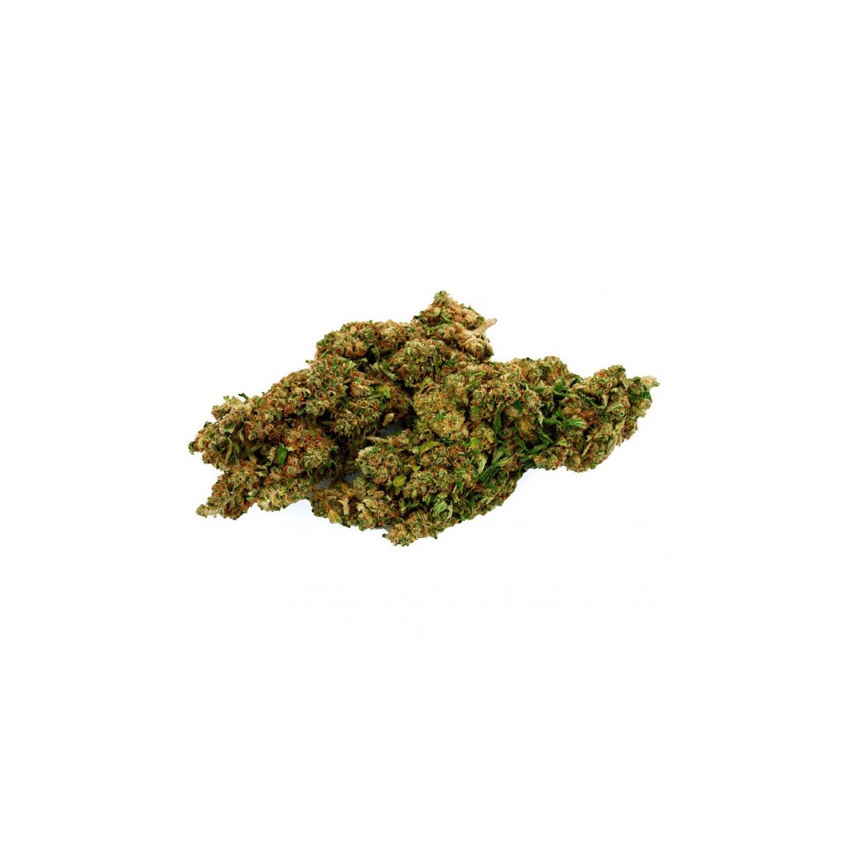 Mango Haze GH CBD 10 gramos - Hii CBD
