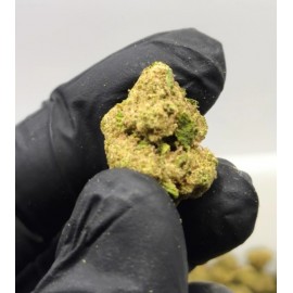 Blueberry Muffin CBD 10 gramos - Hii CBD