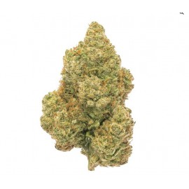 Amnesia Hidro CBD 10 gramos - Hii CBD