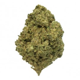 Fruit GH CBD 10 gramos - Hii CBD