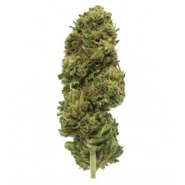Candy Hidro CBD 10 gramos - Hii CBD
